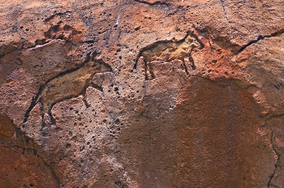 Brazilian ancient rock art