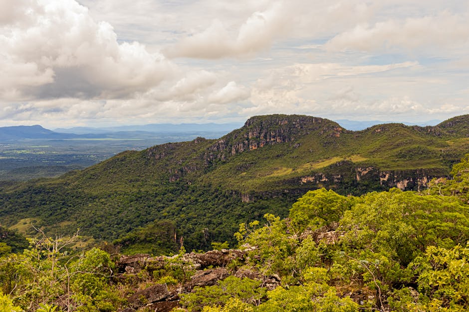 chapada dos veadeiros canyon