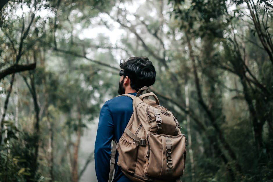 couple hiking lush brazilian forest