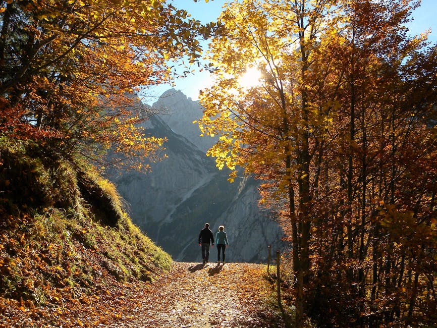 couple hiking mountain trail autumn