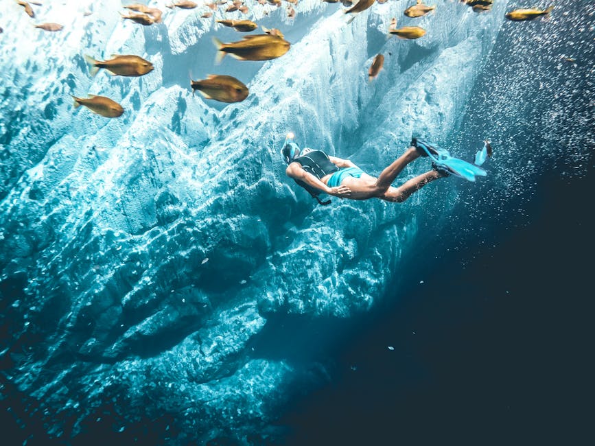 crystal clear river snorkeling fish