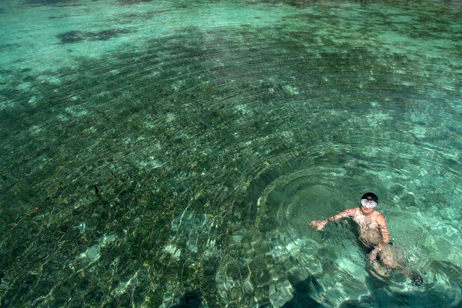 crystal clear river with snorkeling