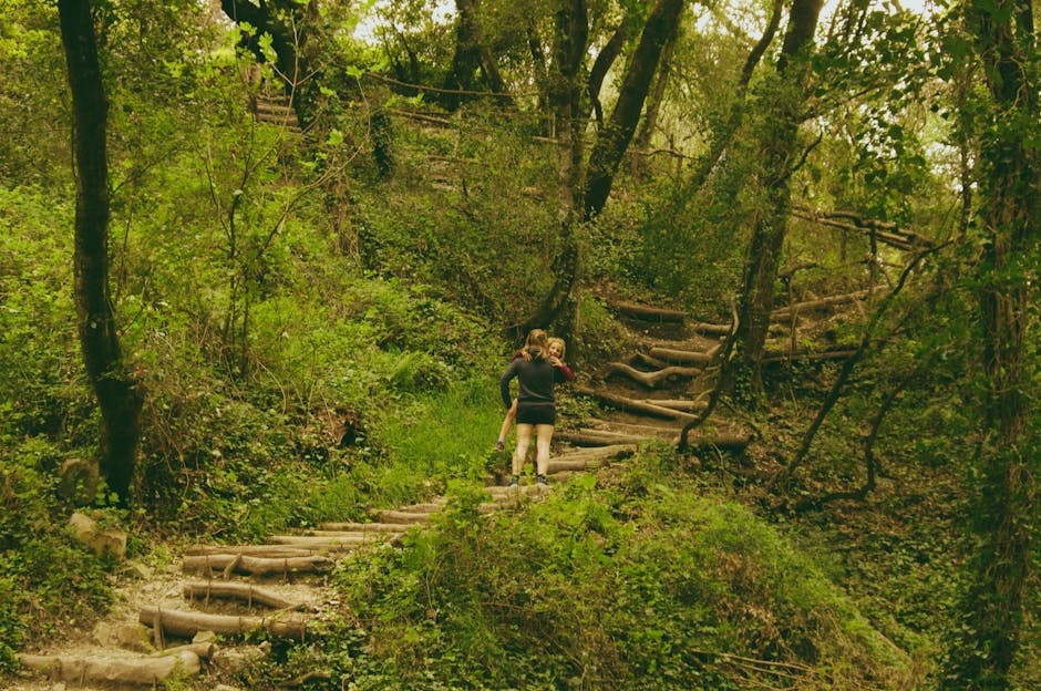 family hiking forest