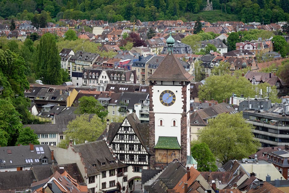 freiburg minster tower view
