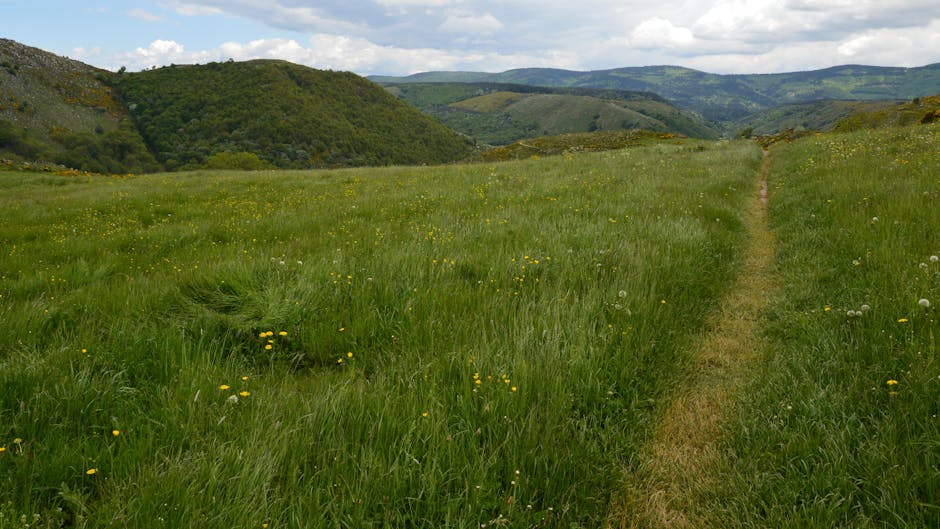 french countryside hike
