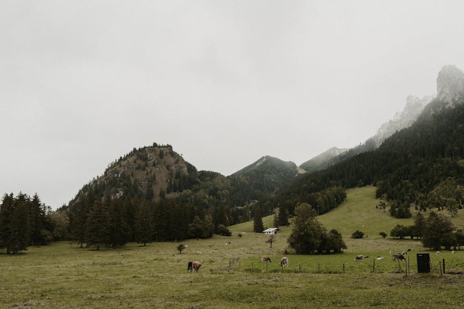 german mountain landscape