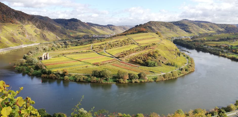german wine region