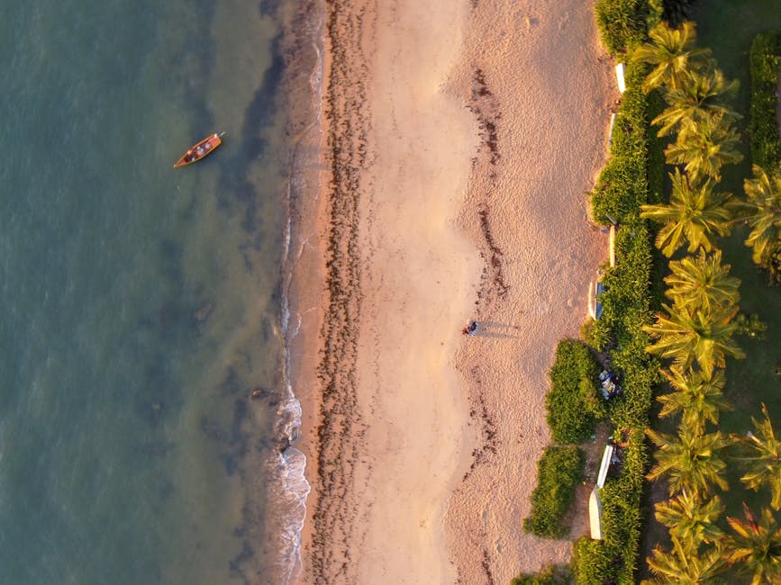 golden beach with palm trees brazil
