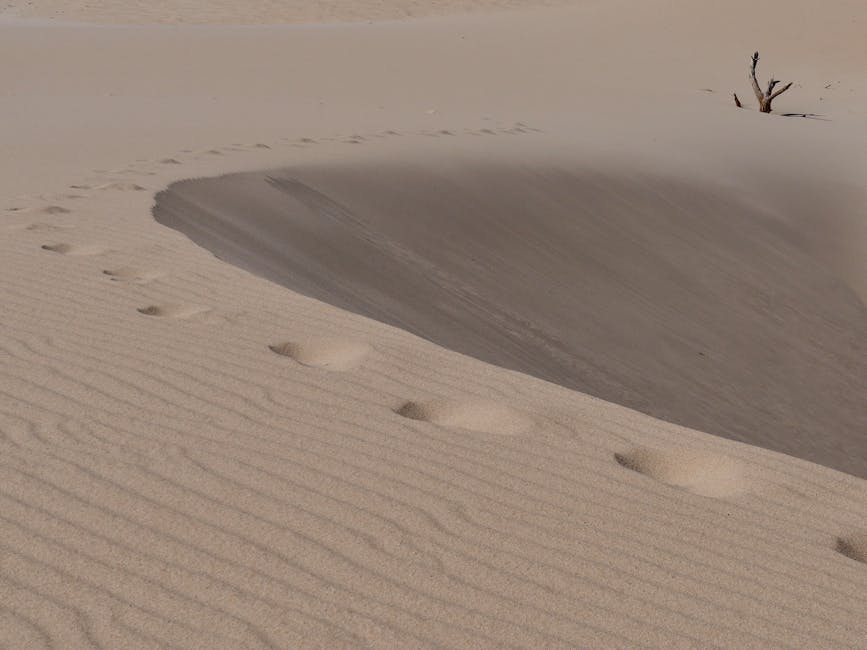 Jalapao golden sand dunes