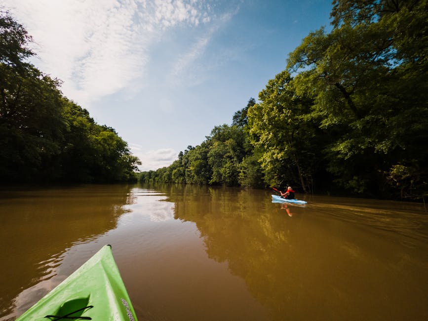 kayak on calm river surrounded by trees