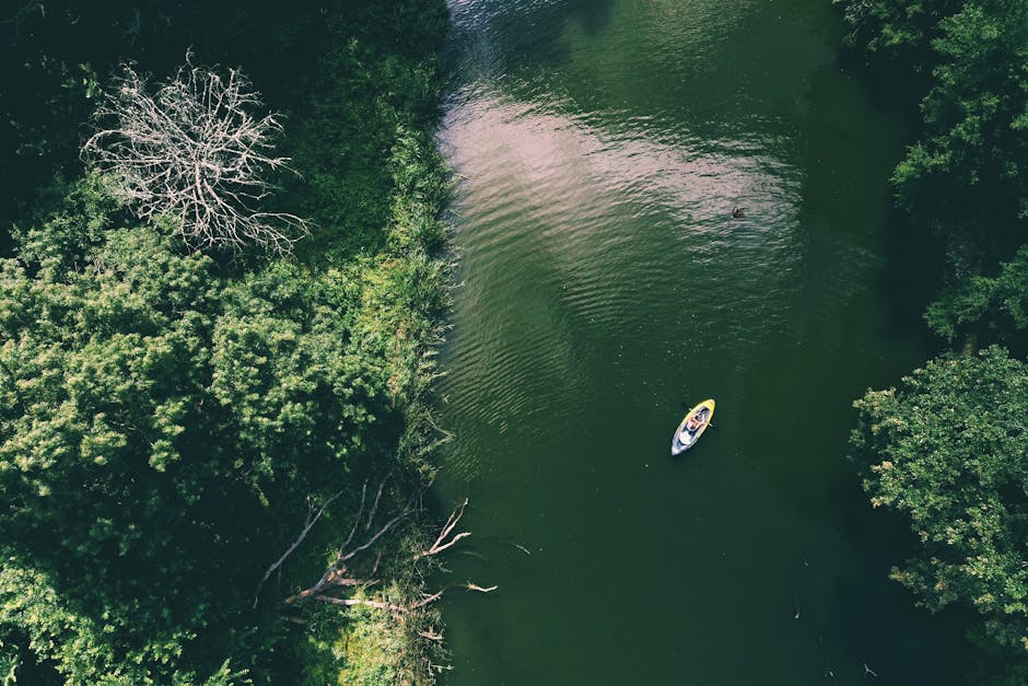 kayaking on calm river forest