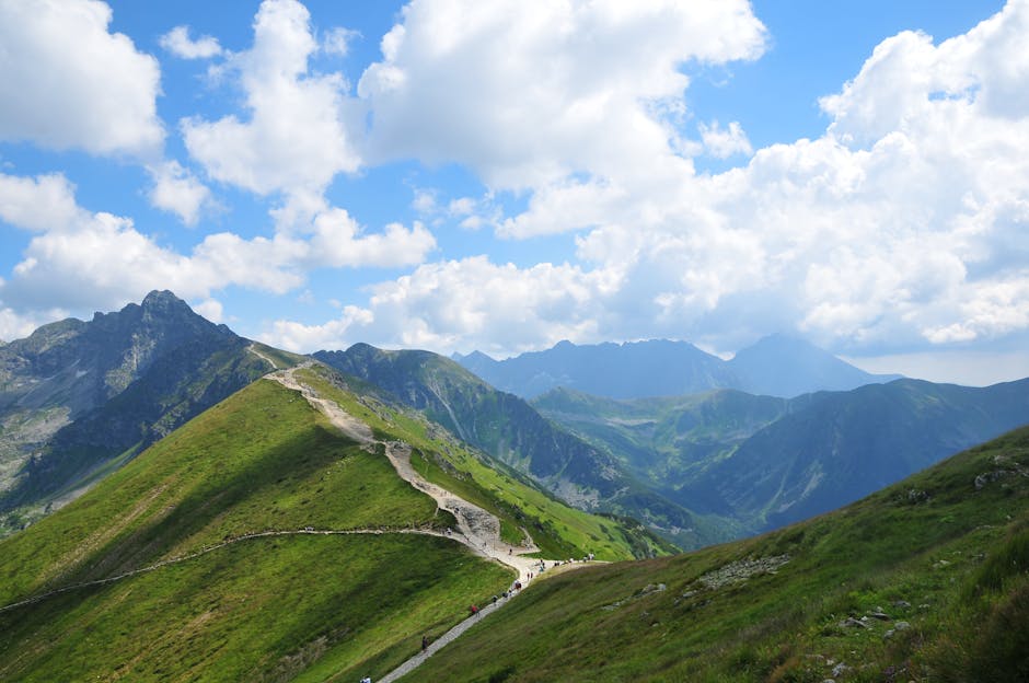 mountain landscape trail