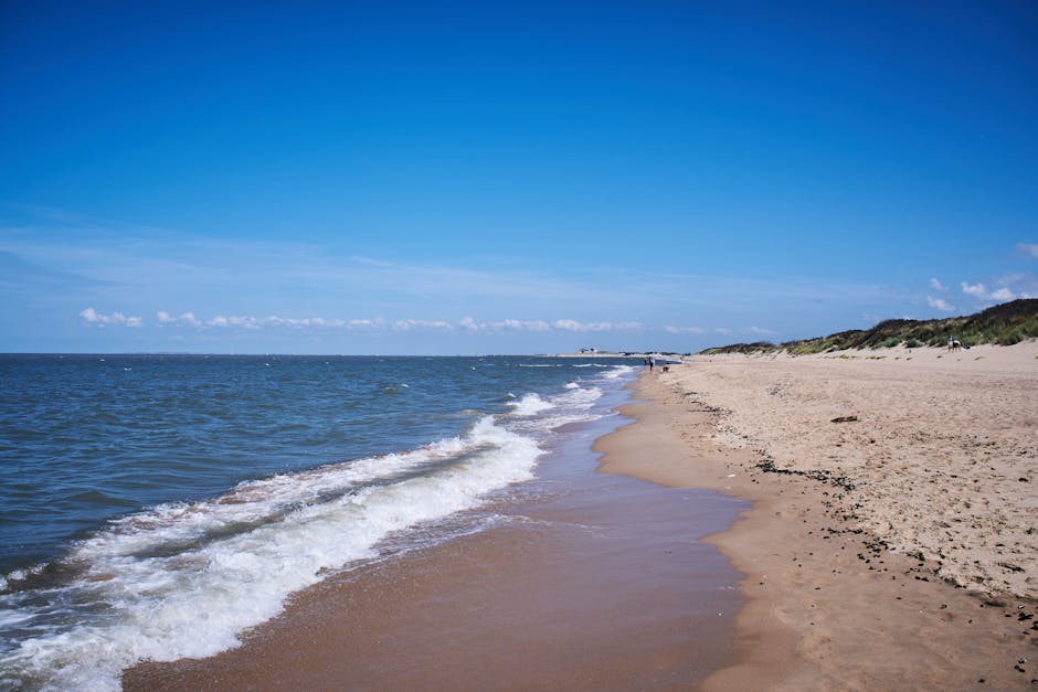north sea coastal landscape