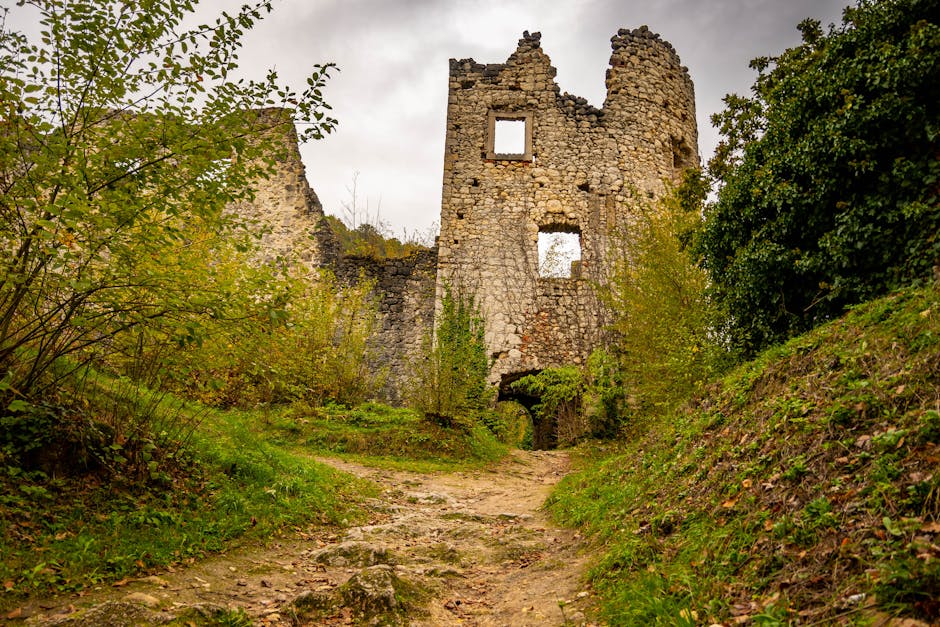 Old castle ruin in forest
