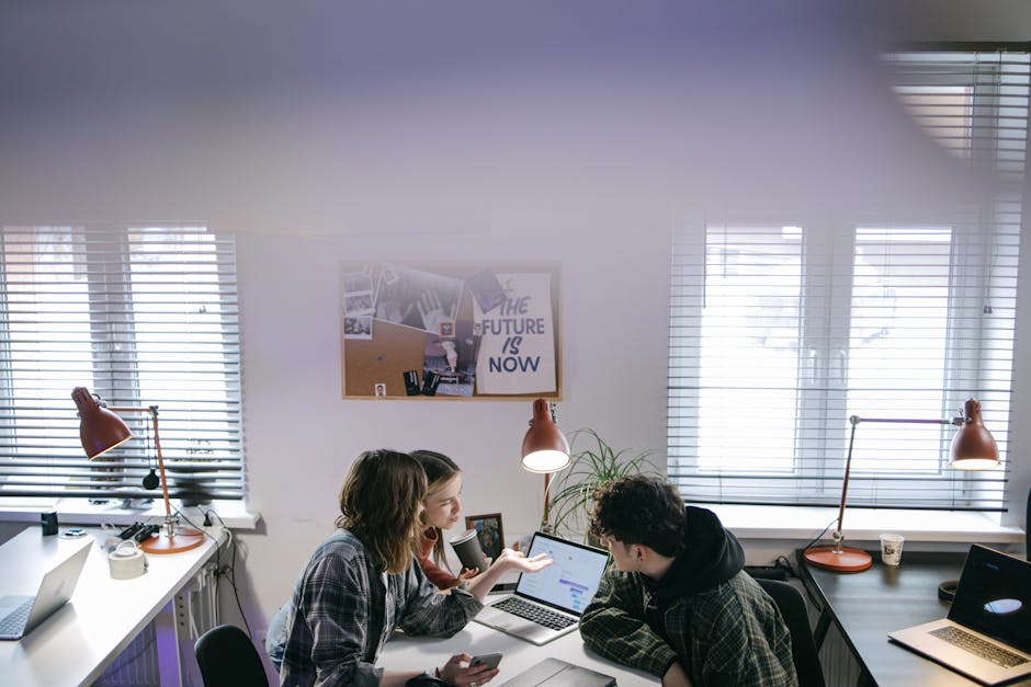 people collaborating in modern office