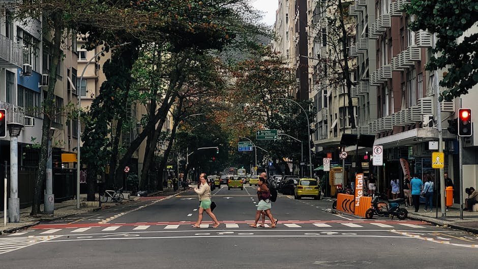 people walking on a street during autumn in a brazilian city