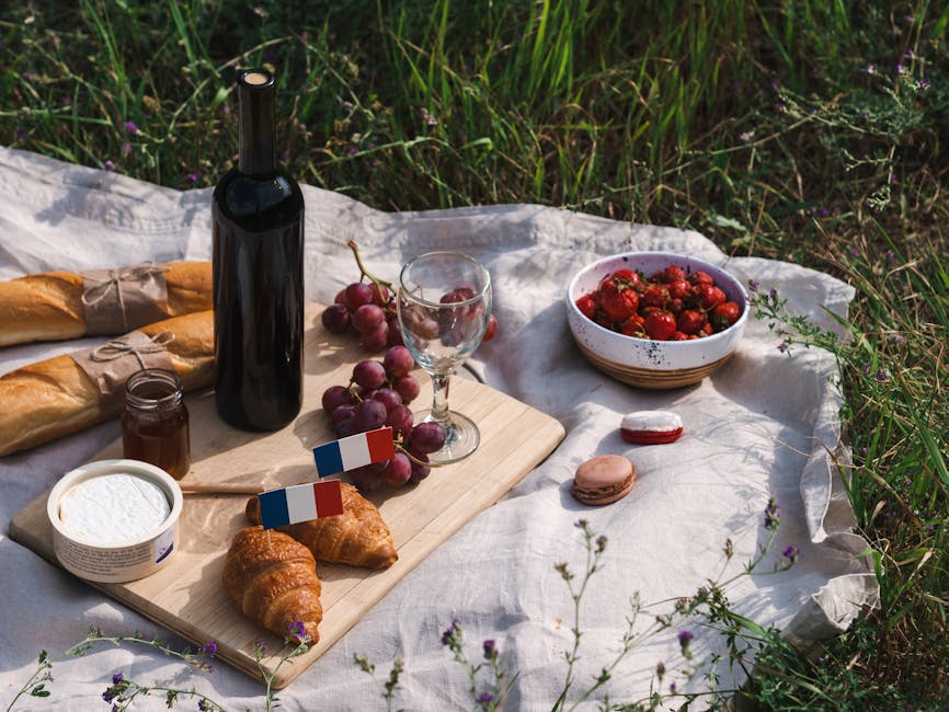 picnic in french vineyard