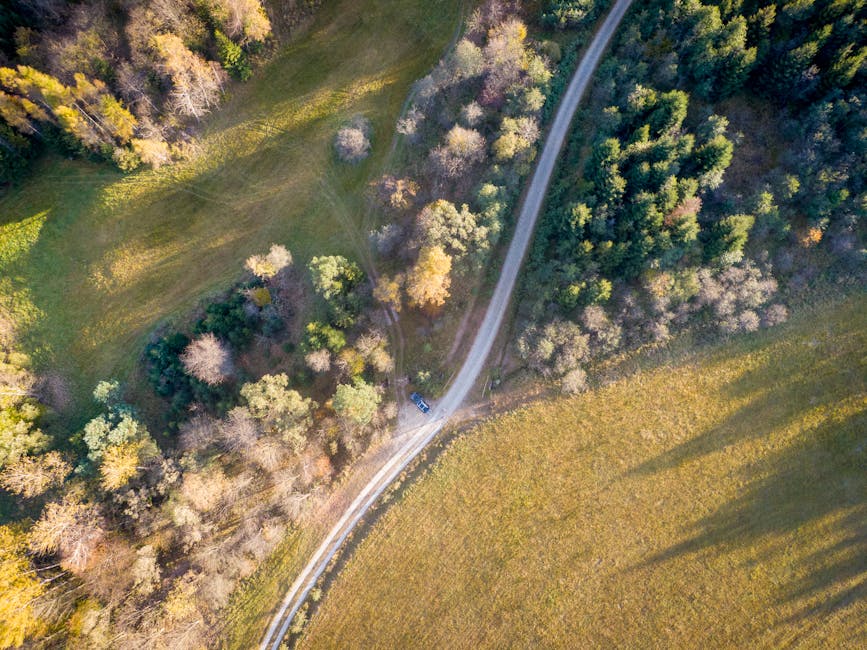 Scenic Polish countryside with winding road