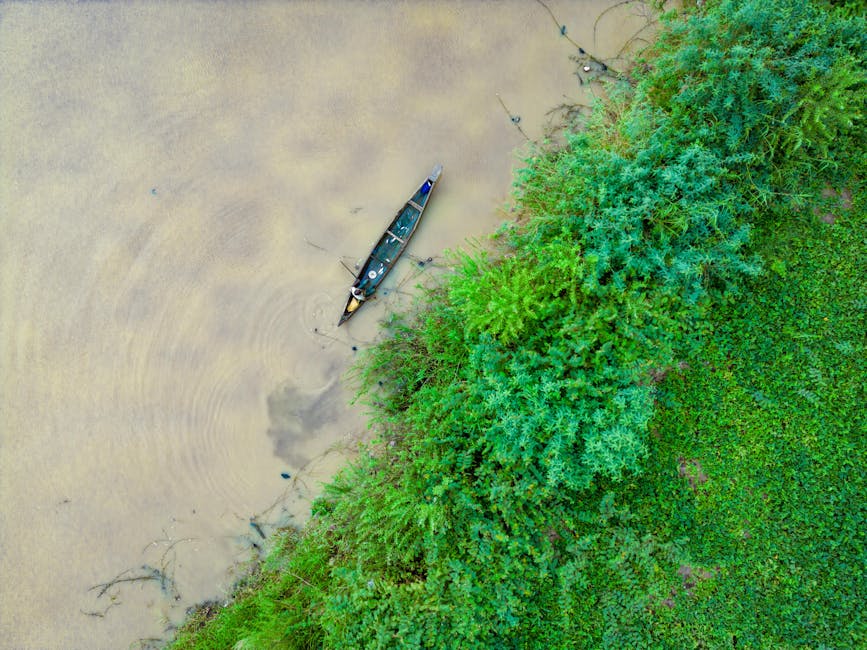 serene river landscape with canoe