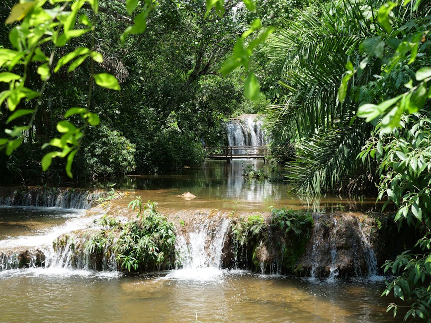 snorkeling in clear river bonitos mato grosso do sul