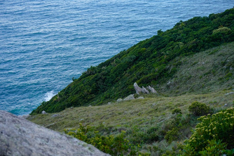 south brazil landscape
