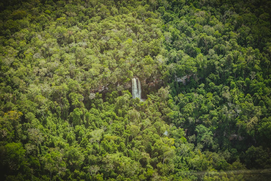 stunning natural waterfall brazil forest