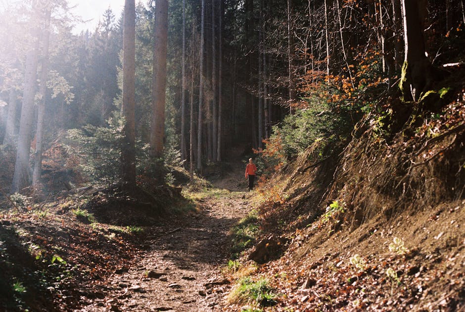 woman hiking in forest in Germany