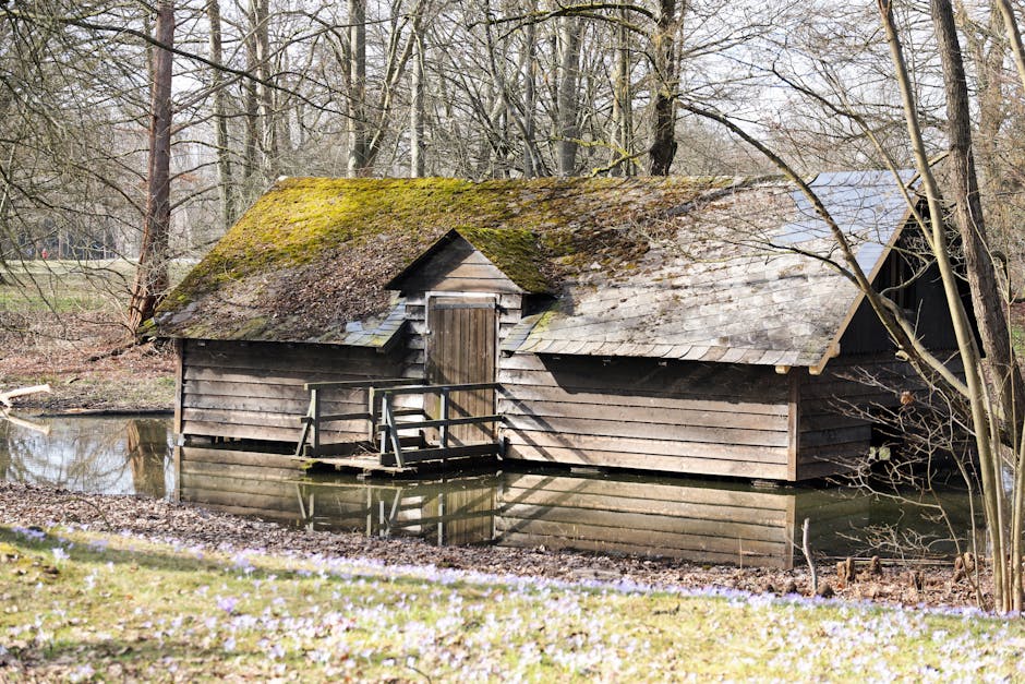 wooden cottage in forest lake
