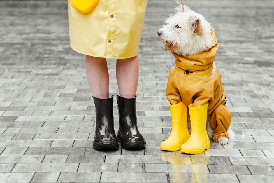 Arrangement of different waterproof shoes including sneakers, low-cut walking shoes, and ankle boots, suitable for diverse rainy city commutes