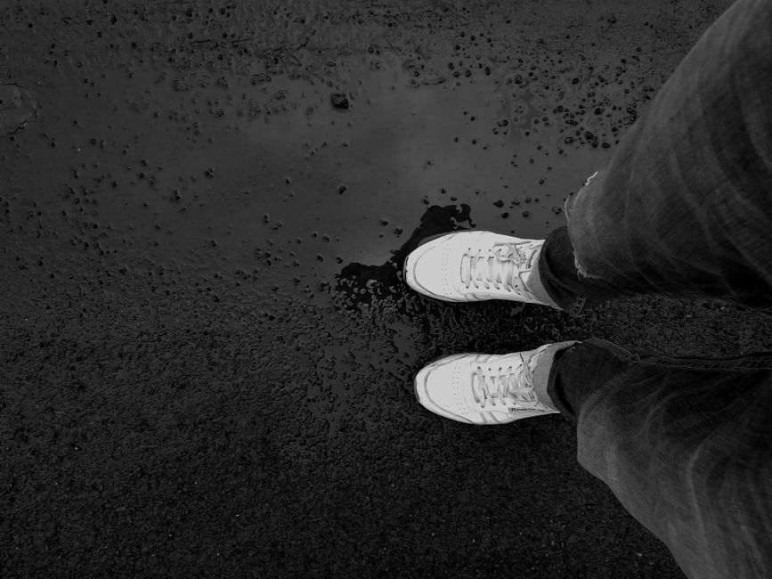 Close-up of a waterproof sneaker with a Gore-Tex label, partially submerged in a shallow puddle, showing its ability to repel water.